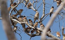 Lee’s Two Word Tuesday –&nbsp;7/25/17