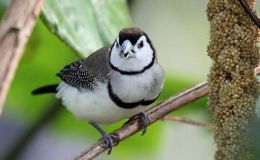 Lee’s One Word Monday –&nbsp;4/11/16