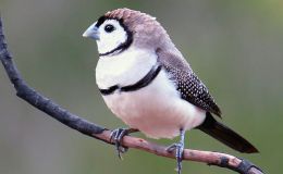 Lee’s Six Word Saturday –&nbsp;5/13/17