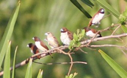 Lee’s Six Word Saturday –&nbsp;8/5/17