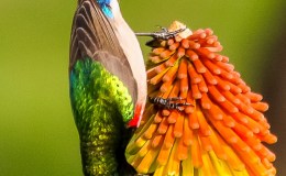 Lee’s Four Word Thursday –&nbsp;2/25/16