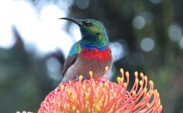 Lee’s Four-Word Thursday –&nbsp;9/5/2024