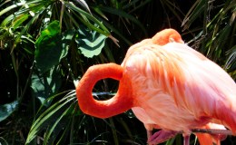 Lee’s Two Word Tuesday –&nbsp;3/8/16