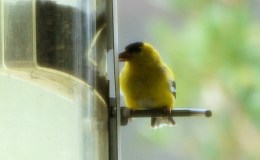 Friendly and Welcome&nbsp;Visitors