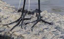 Lee’s Three Word Wednesday –&nbsp;3/9/16