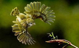 Lee’s Seven Word Sunday –&nbsp;3/13/16