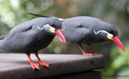 Lee’s Six Word Saturday –&nbsp;3/19/16