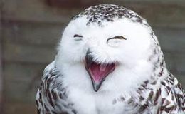 Lee’s Three Word Wednesday – And They&nbsp;Laughed