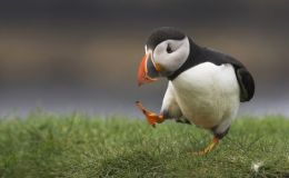 Lee’s Five Word Friday –&nbsp;3/18/16