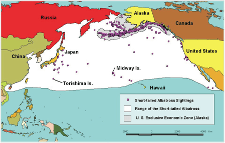 Short-tailed Albatross Map