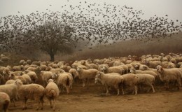 Lee’s Four Word Thursday –&nbsp;3/24/16