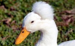 Lee’s Six Word Saturday –&nbsp;4/23/16