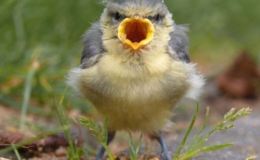 Lee’s Three Word Wednesday –&nbsp;4/13/16