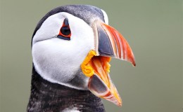 Lee’s Six Word Saturday –&nbsp;6/3/17