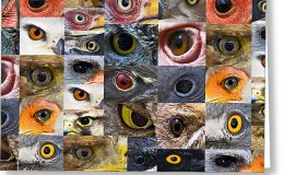 Lee’s Four Word Thursday –&nbsp;4/21/16