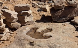 Dinosaur Tracks from Institute For Creation&nbsp;Research
