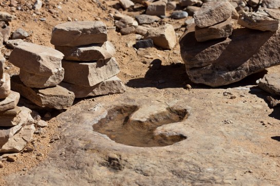 Dinosaur footprint