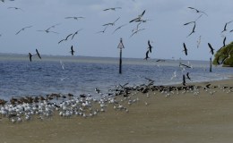 Lee’s Six Word Saturday –&nbsp;4/30/16