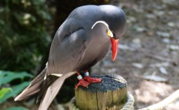 Lee’s Three Word Wednesday –&nbsp;4/6/16