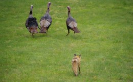 Lee’s Seven Word Sunday –&nbsp;4/24/16