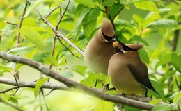 Lee’s One Word Monday –&nbsp;4/4/16