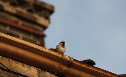 Lee’s Seven Word Sunday –&nbsp;4/17/16