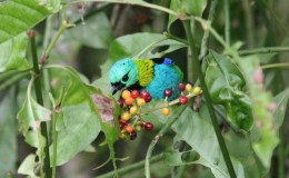 Lee’s Two Word Tuesday –&nbsp;4/19/16