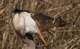 Lee’s Two Word Tuesday –&nbsp;4/12/16