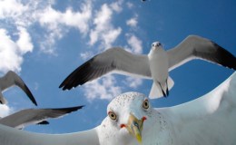 Lee’s Two Word Tuesday –&nbsp;4/26/16