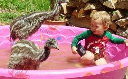 Lee’s Four Word Thursday –&nbsp;4/28/16