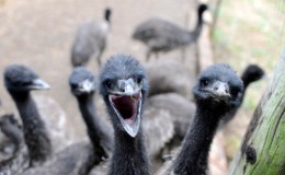 Lee’s Three Word Wednesday –&nbsp;4/20/16