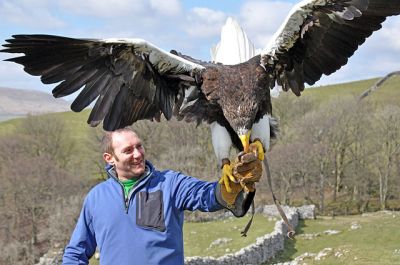 Steller's Sea Eagle (Haliaeetus pelagicus) with Man ©WikiC