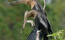 Lee’s Four Word Thursday –&nbsp;5/5/16