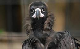 Lee’s Three  Word Wednesday –&nbsp;5/18/16