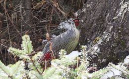 Lee’s  Seven Word Sunday –&nbsp;5/29/16