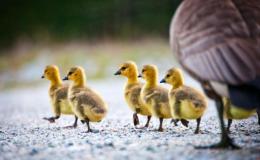 Matthew Chapter A Day –&nbsp;19