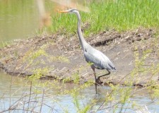 Paul’s Beautiful and Graceful Prayer for the Colossian Church ~&nbsp;Re-blog