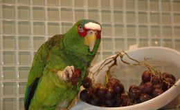 Lee’s Six Word Saturday –&nbsp;5/21/16