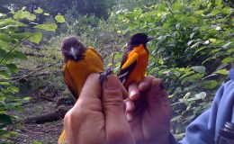 Lee’s Six Word Saturday –&nbsp;5/14/16