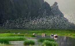 Lee’s Three Word Wednesday –&nbsp;6/8/16