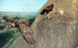 Lee’s Seven Word Sunday –&nbsp;7/3/16