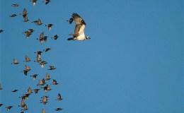 Lee’s Five Word Friday –&nbsp;6/10/16