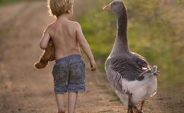 Lee’s Two Word Tuesday –&nbsp;6/28/16