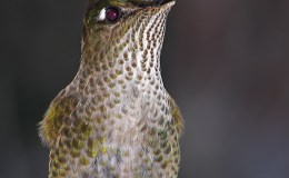 Lee’s Two Word Tuesday –&nbsp;7/5/16