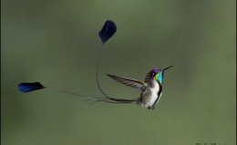 Lee’s Four Word Thursday –&nbsp;6/23/16