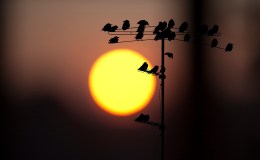 Lee’s Six Word Saturday –&nbsp;6/11/16