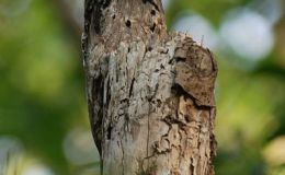 Seek Me, And Find&nbsp;Me