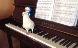 Lee’s Three Word Wednesday –&nbsp;6/22/16