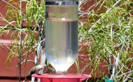 Lee’s Five Word Friday –&nbsp;6/17/15