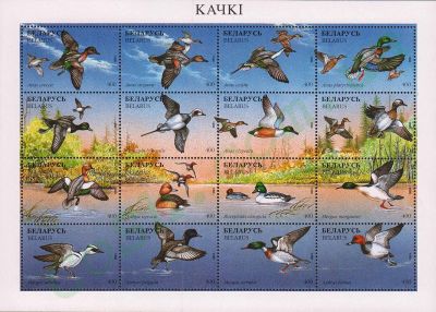 Ducks.Belarus-postage-stamps-sheet